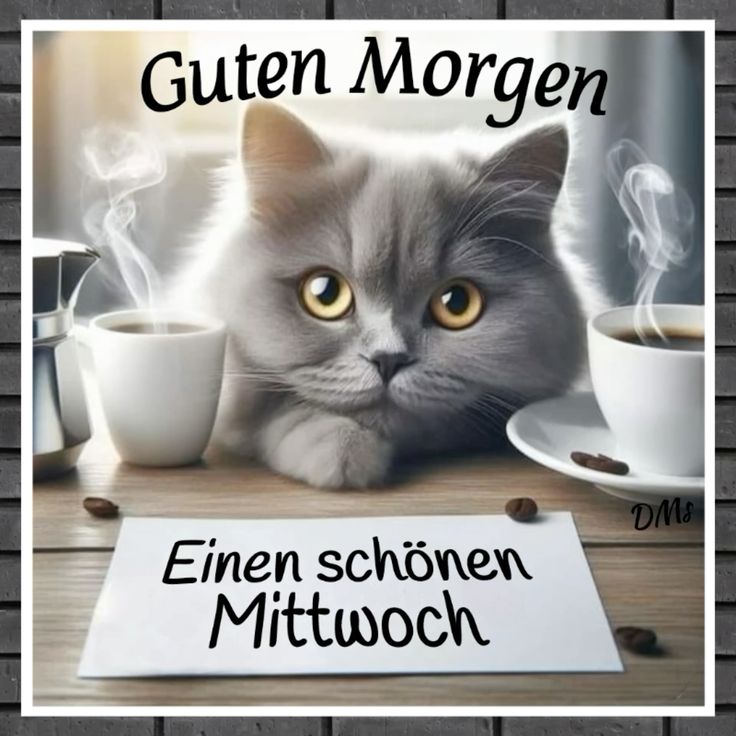 Guten Morgen Mittwoch Bilder 74