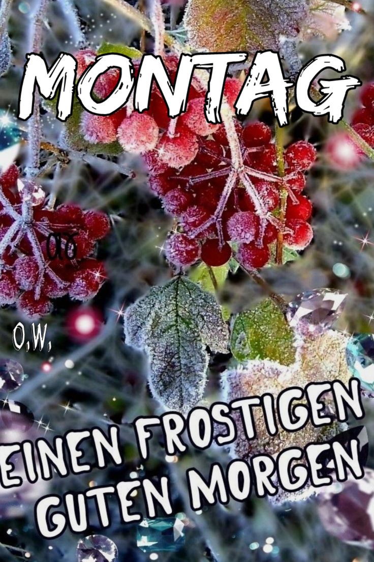 Guten Morgen Montag Bilder 102