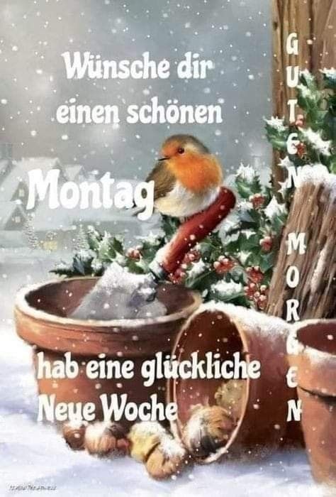 Guten Morgen Montag Bilder 113