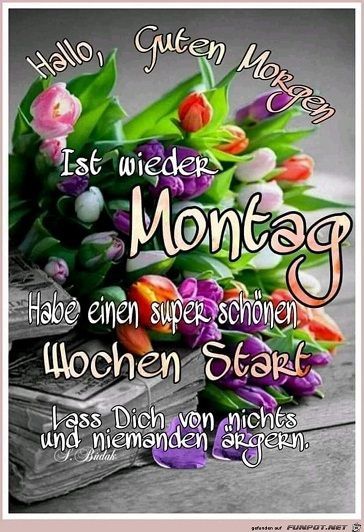 Guten Morgen Montag Bilder 116