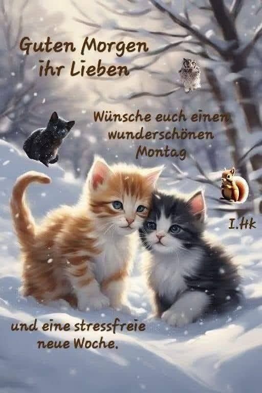 Guten Morgen Montag Bilder 132