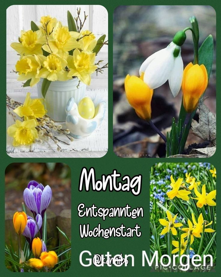 Guten Morgen Montag Bilder 14