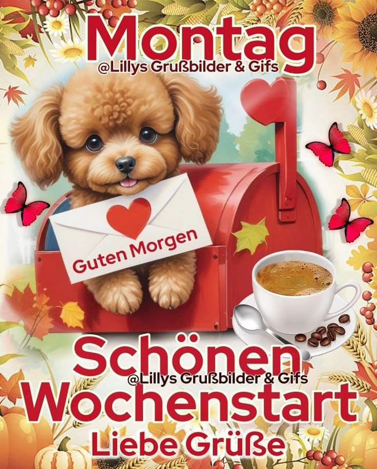 Guten Morgen Montag Bilder 20