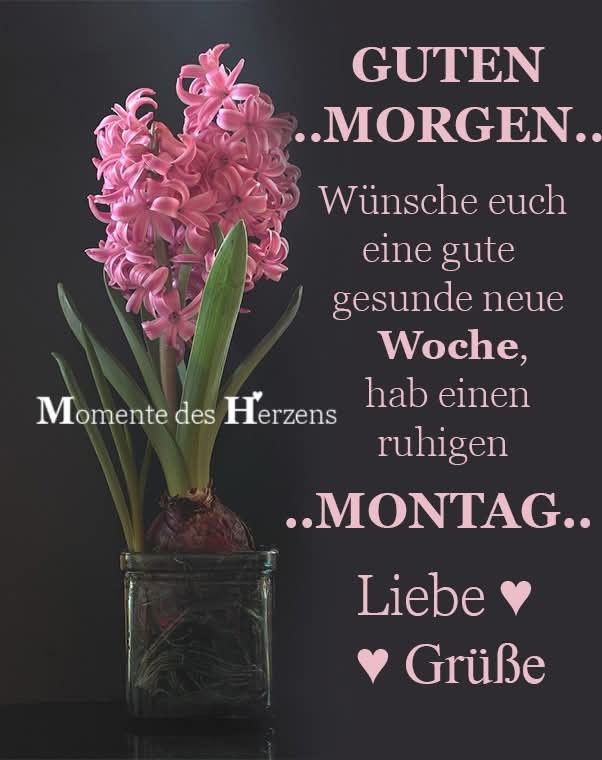Guten Morgen Montag Bilder 23