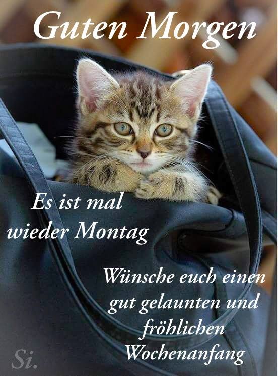 Guten Morgen Montag Bilder 30