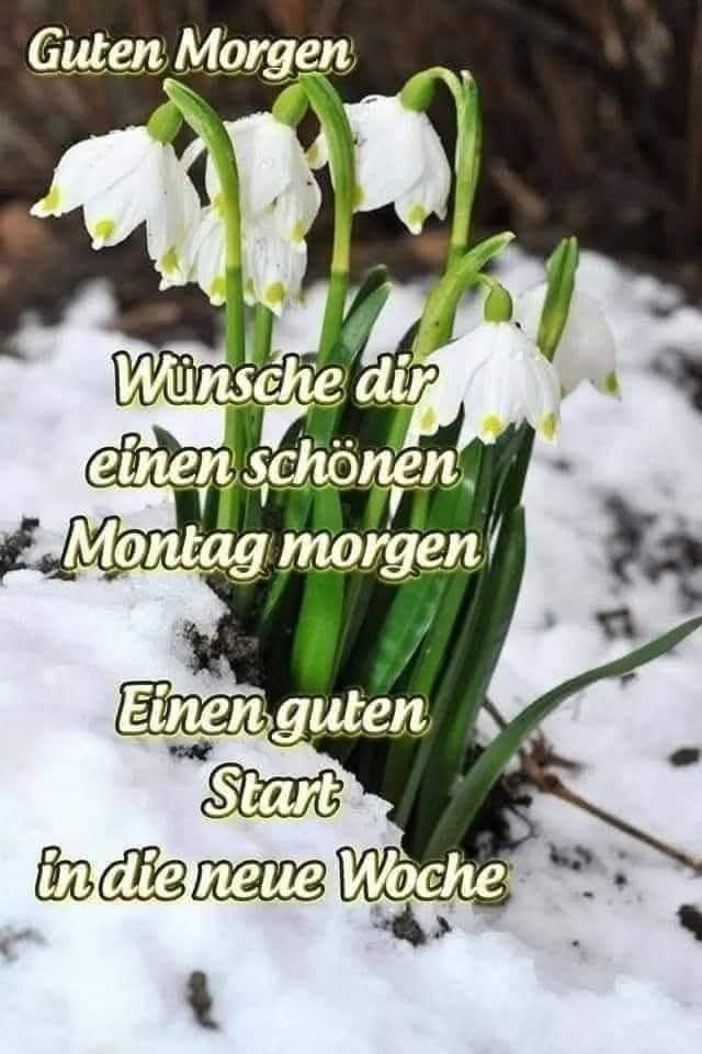 Guten Morgen Montag Bilder 40