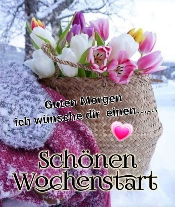 Guten Morgen Montag Bilder 64