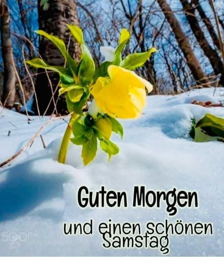 Guten Morgen Samstag Bilder 115