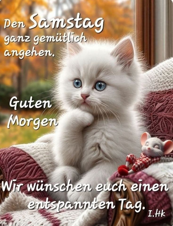 Guten Morgen Samstag Bilder 118