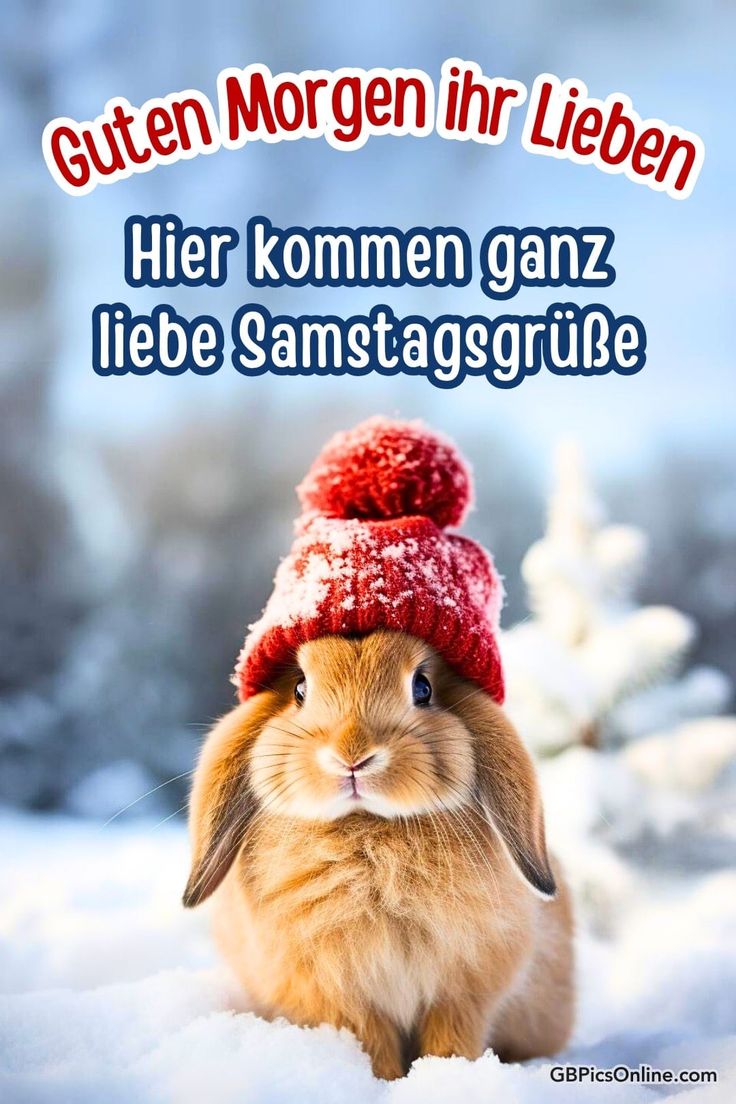 Guten Morgen Samstag Bilder 12