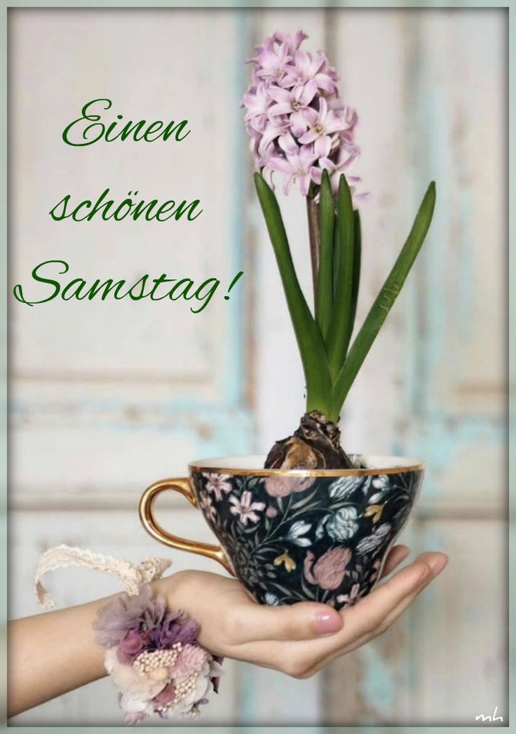 Guten Morgen Samstag Bilder 15