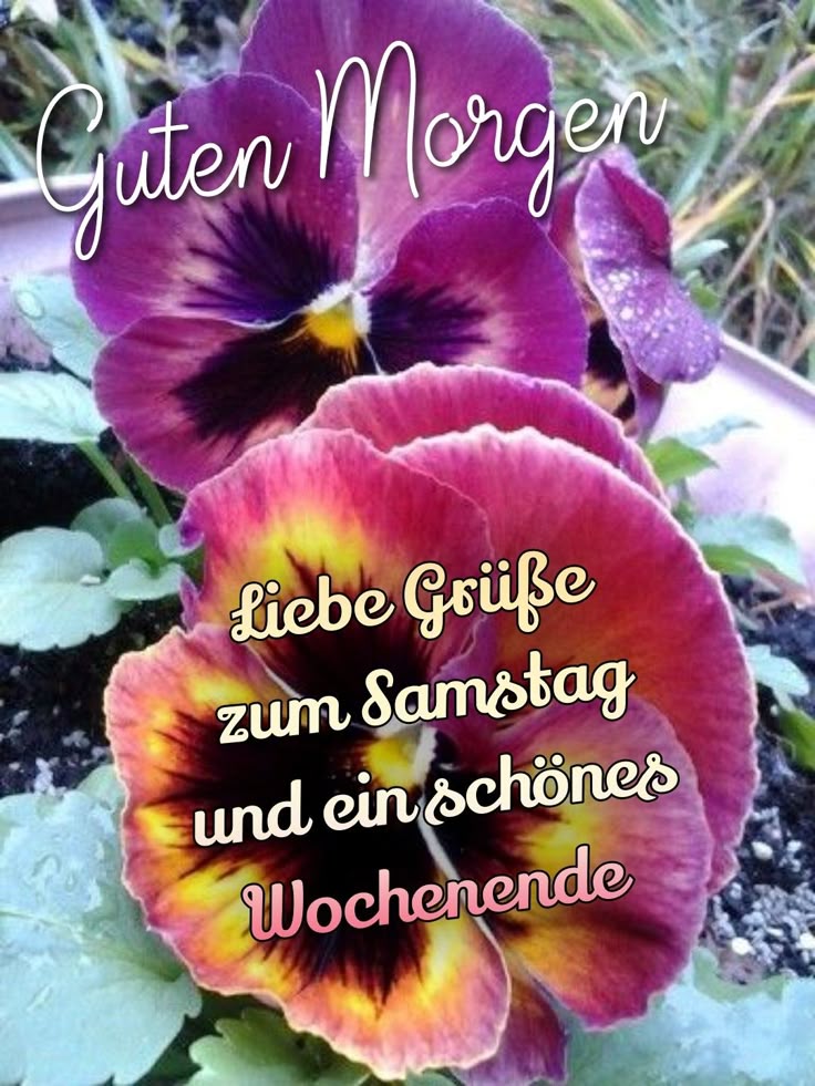 Guten Morgen Samstag Bilder 32