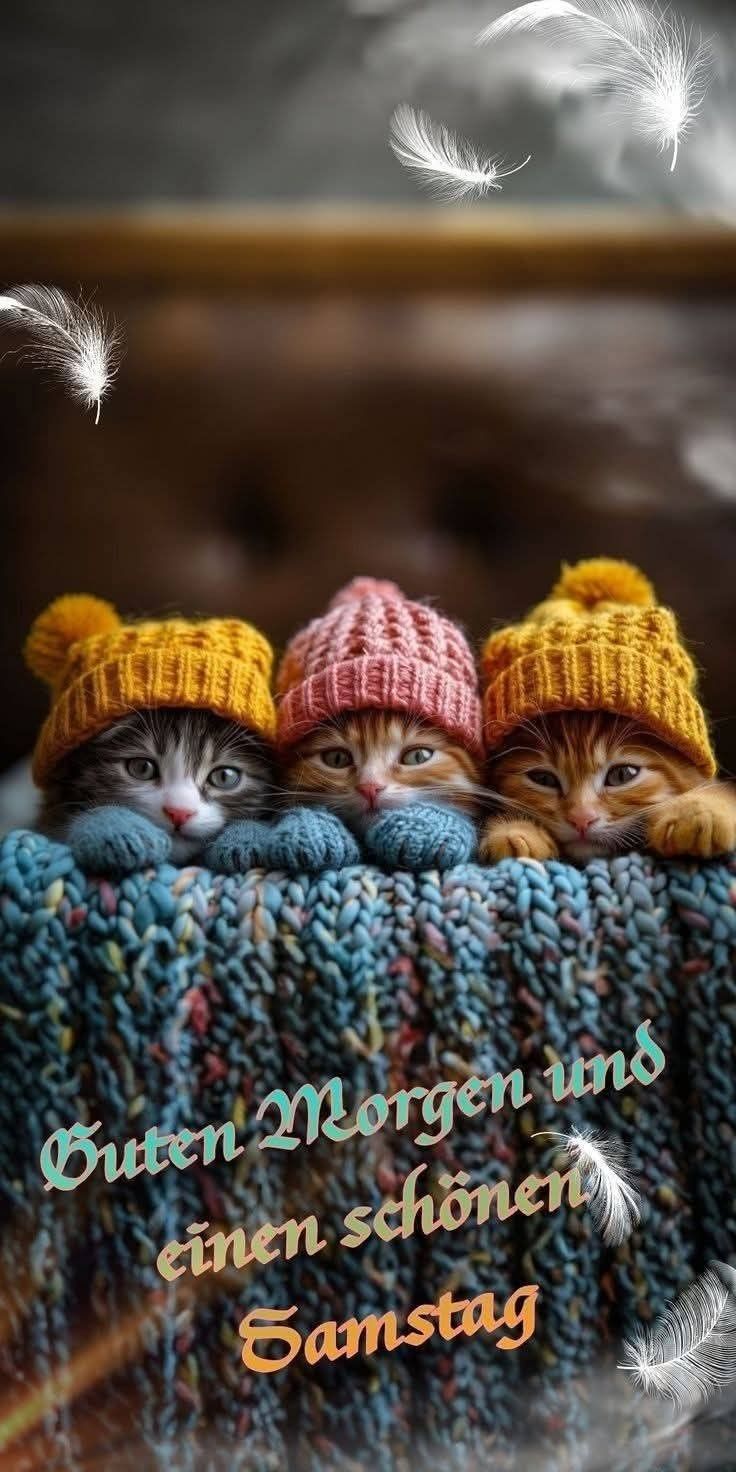 Guten Morgen Samstag Bilder 56