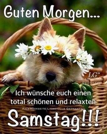 Guten Morgen Samstag Bilder 57