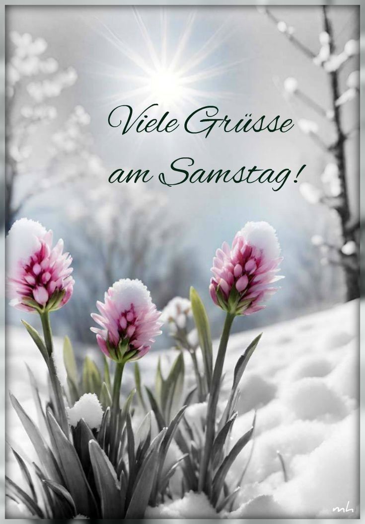 Guten Morgen Samstag Bilder 71