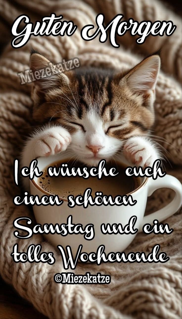 Guten Morgen Samstag Bilder 73