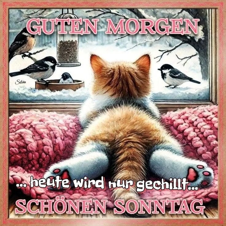 Guten Morgen Sonntag Bilder 104