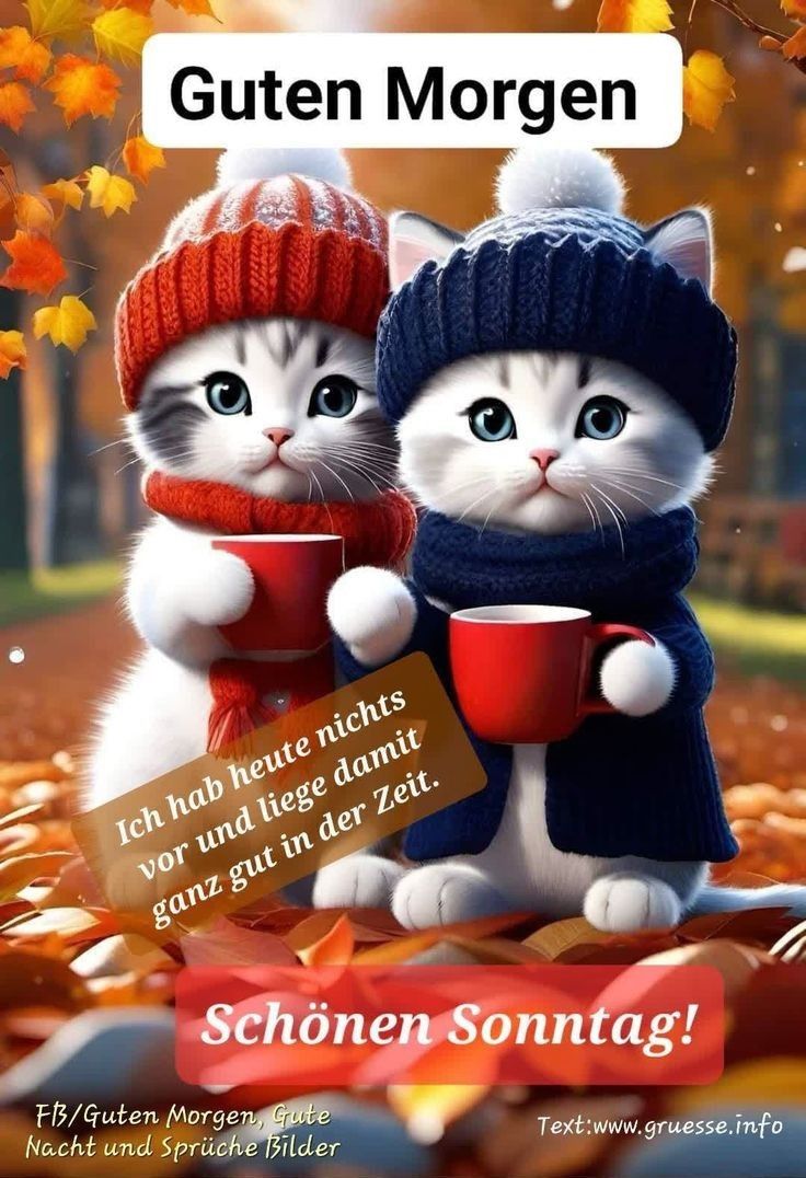 Guten Morgen Sonntag Bilder 108