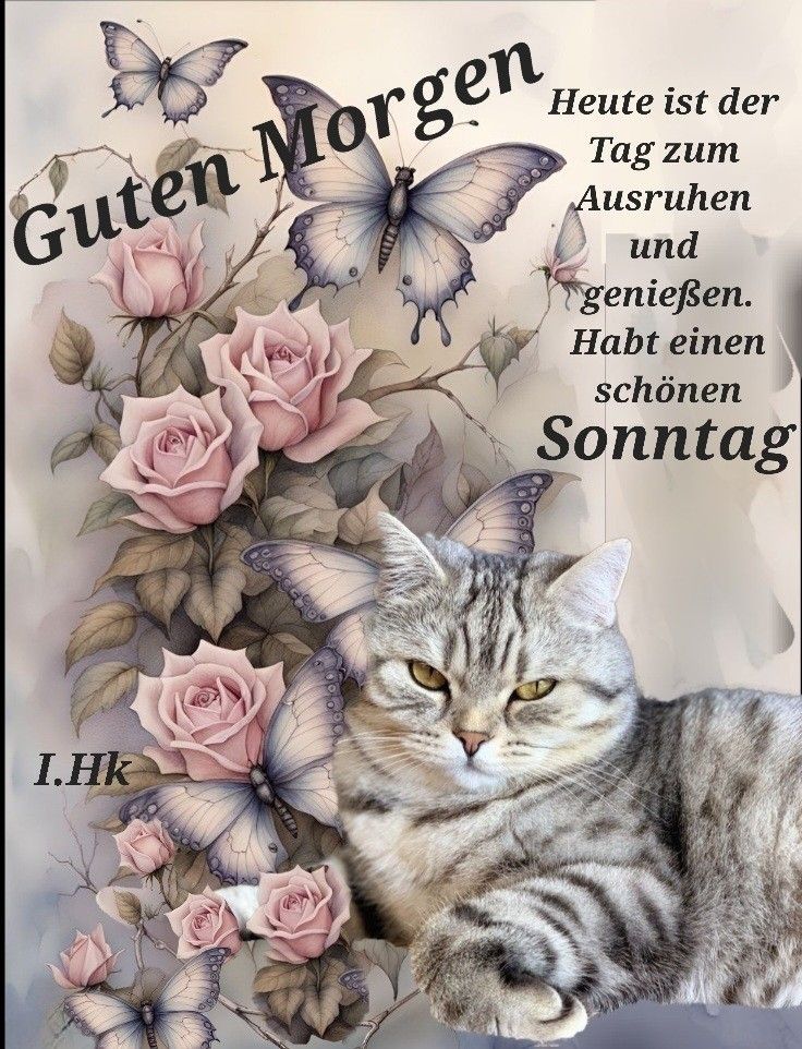 Guten Morgen Sonntag Bilder 133