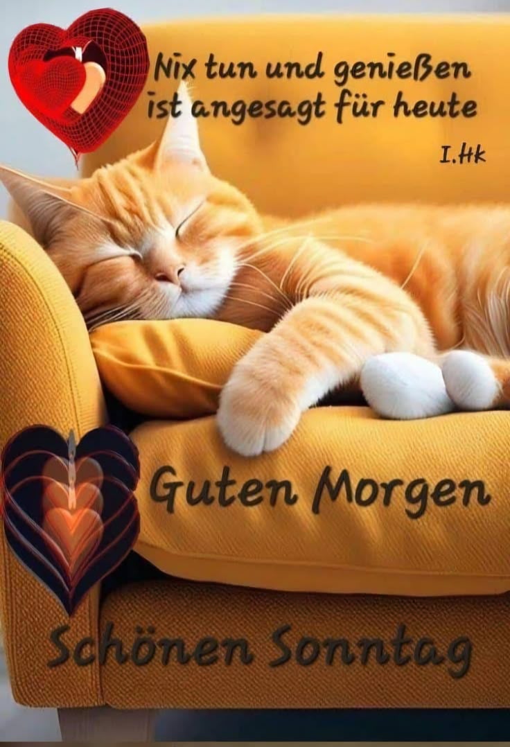 Guten Morgen Sonntag Bilder 18