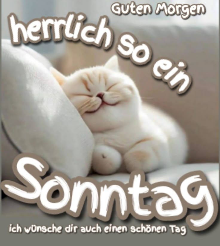 Guten Morgen Sonntag Bilder 19
