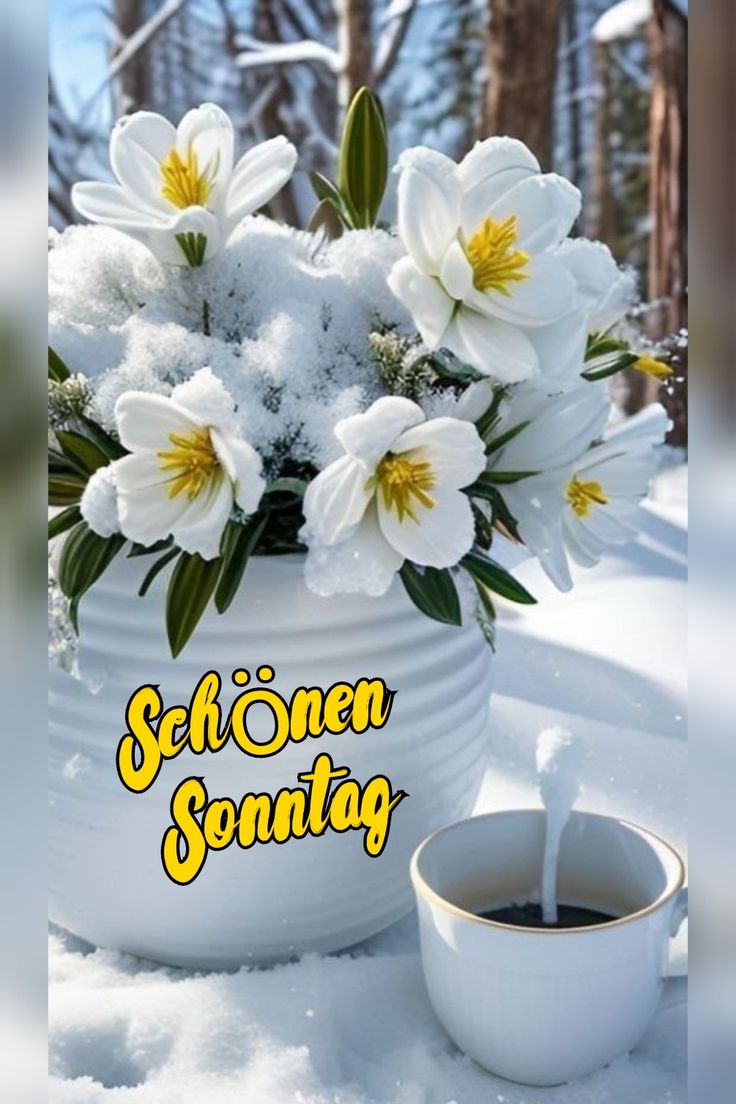 Guten Morgen Sonntag Bilder 23