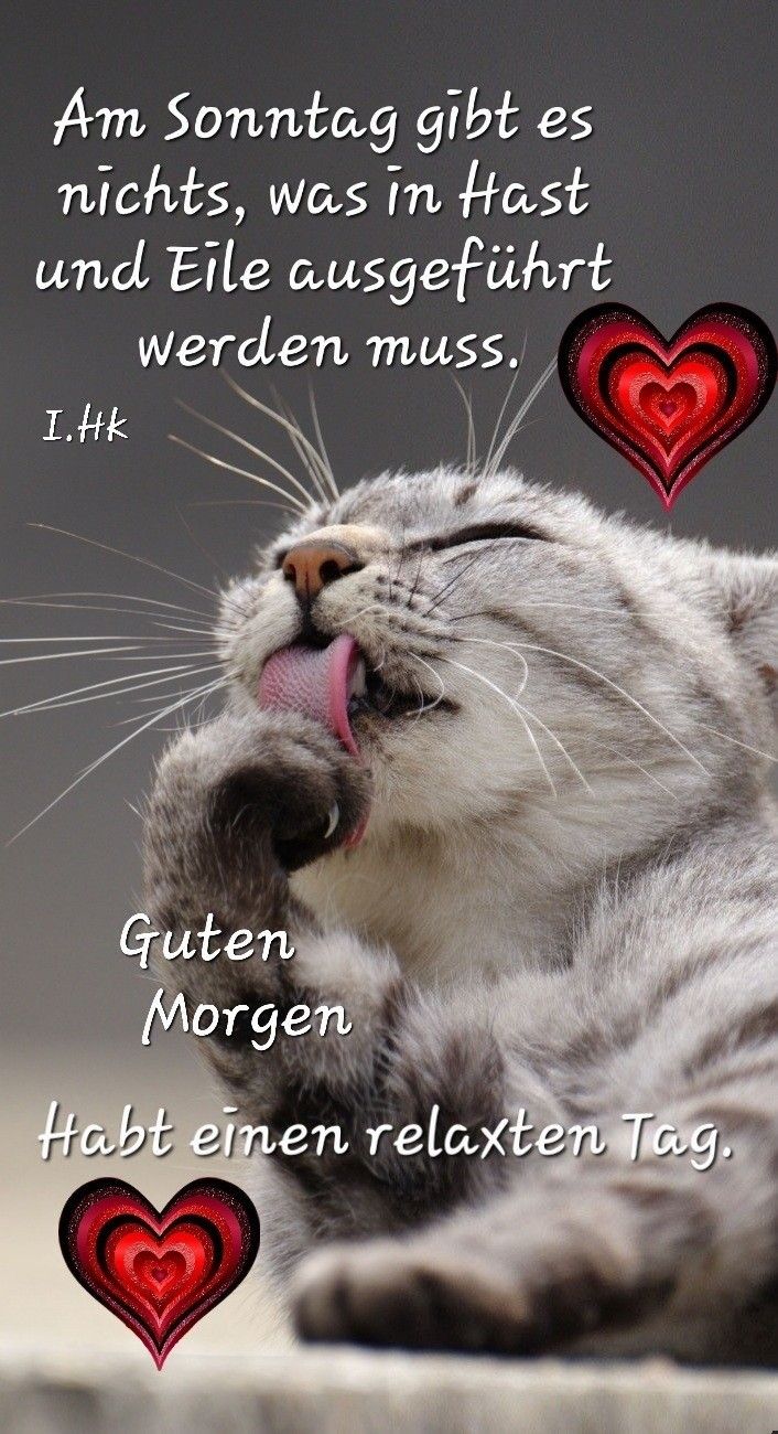 Guten Morgen Sonntag Bilder 50