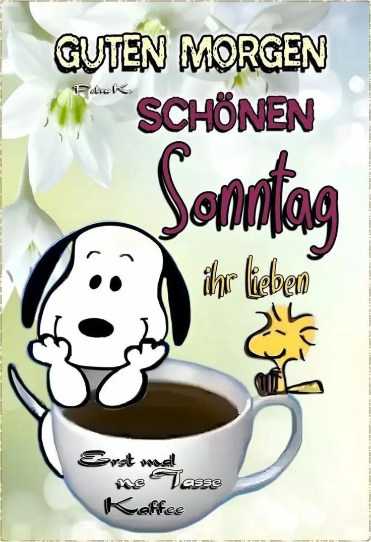 Guten Morgen Sonntag Bilder 53