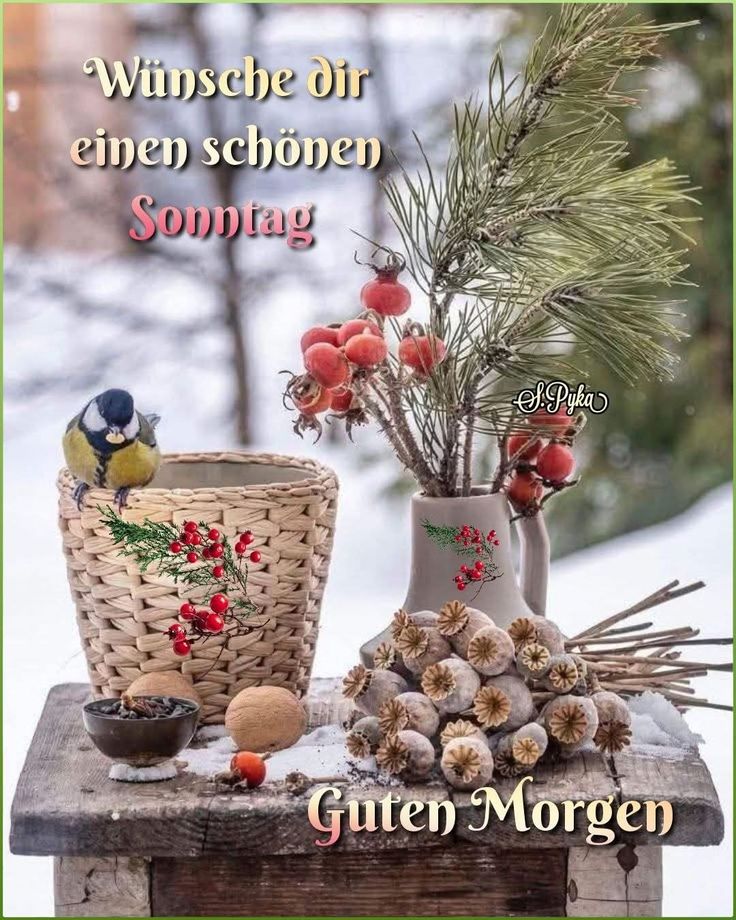 Guten Morgen Sonntag Bilder 54