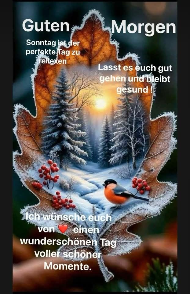 Guten Morgen Sonntag Bilder 70