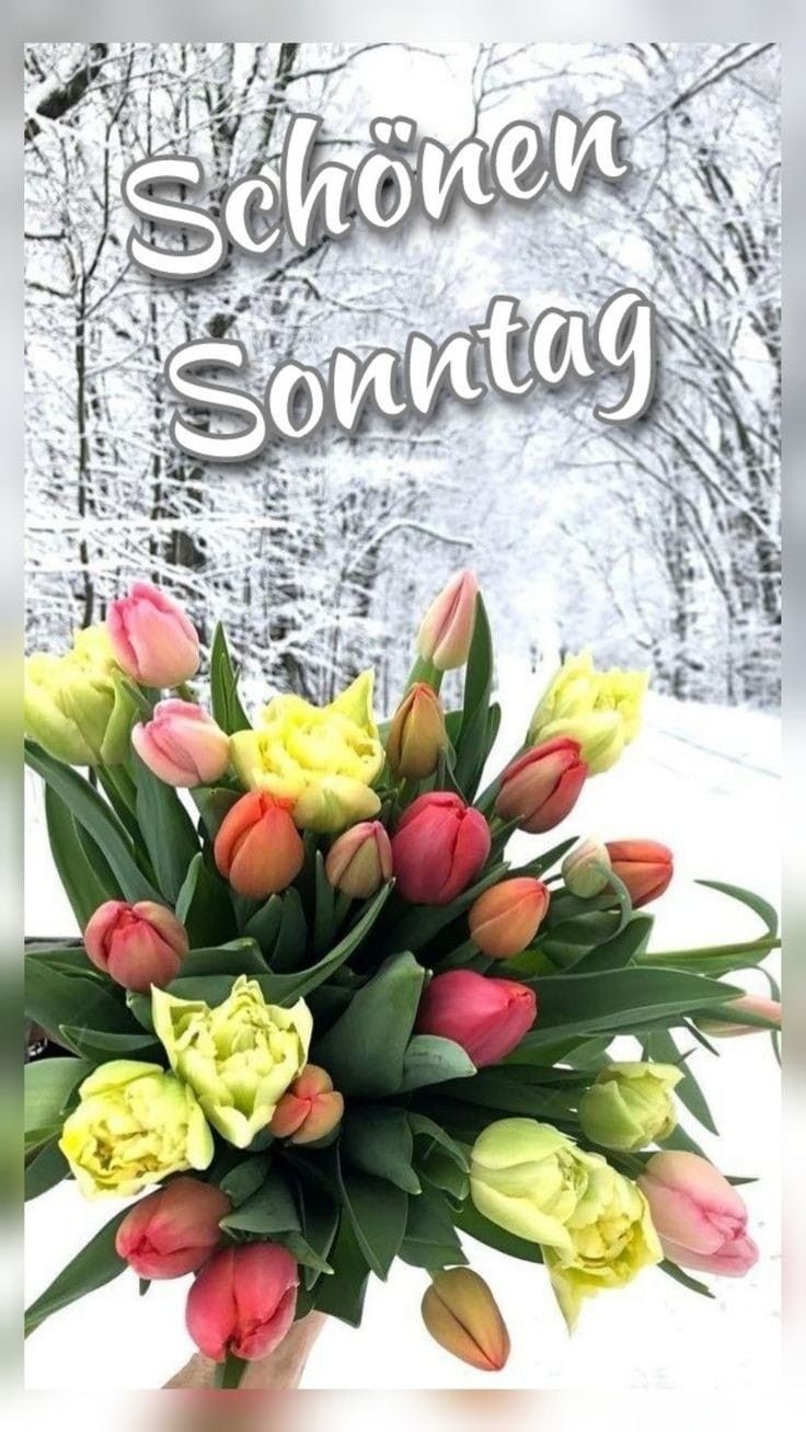 Guten Morgen Sonntag Bilder 87
