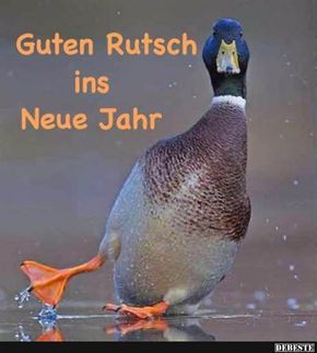 Guten Rutsch Bilder 129
