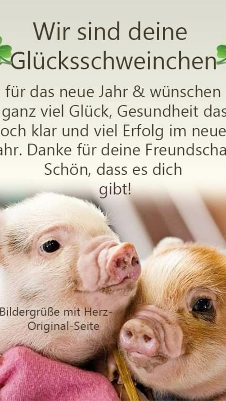Guten Rutsch Bilder 46