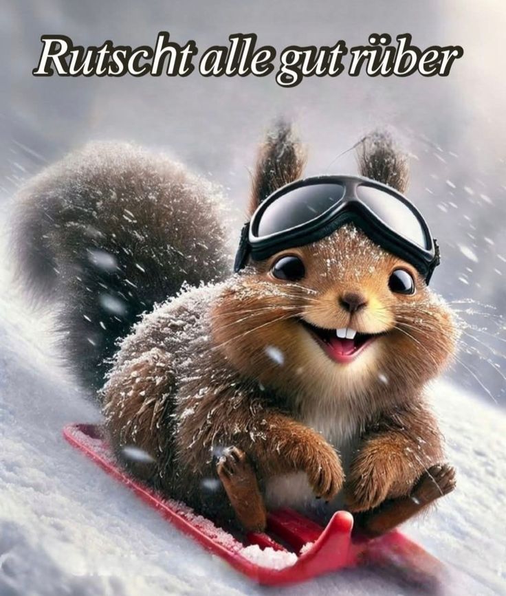 Guten Rutsch Bilder 53