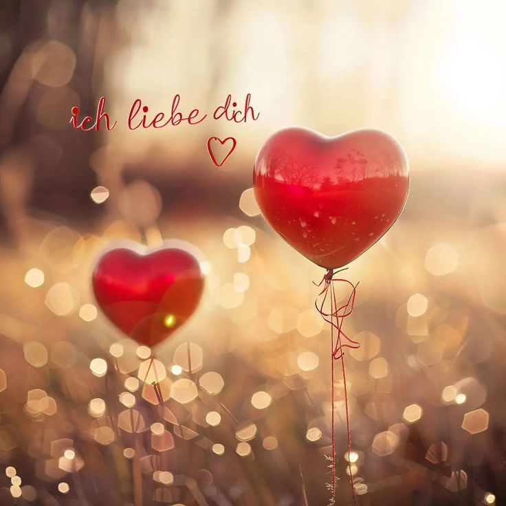 Hab Dich Lieb Bilder 138