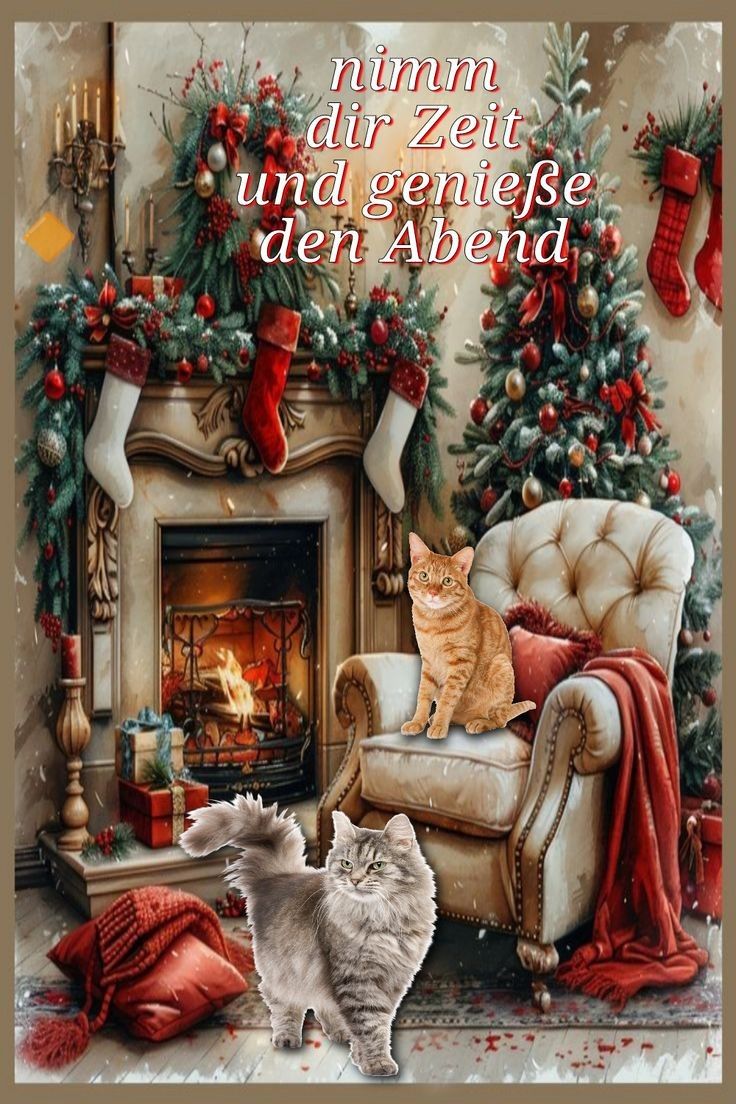 Heiligabend Bilder 122