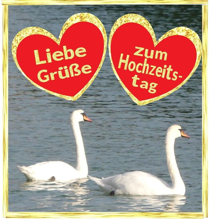 Hochzeitstag Bilder 43