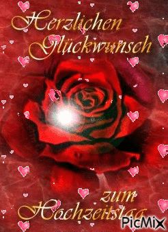 Hochzeitstag Bilder 68