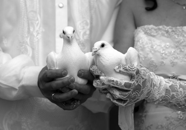 Hochzeitstag Bilder 77