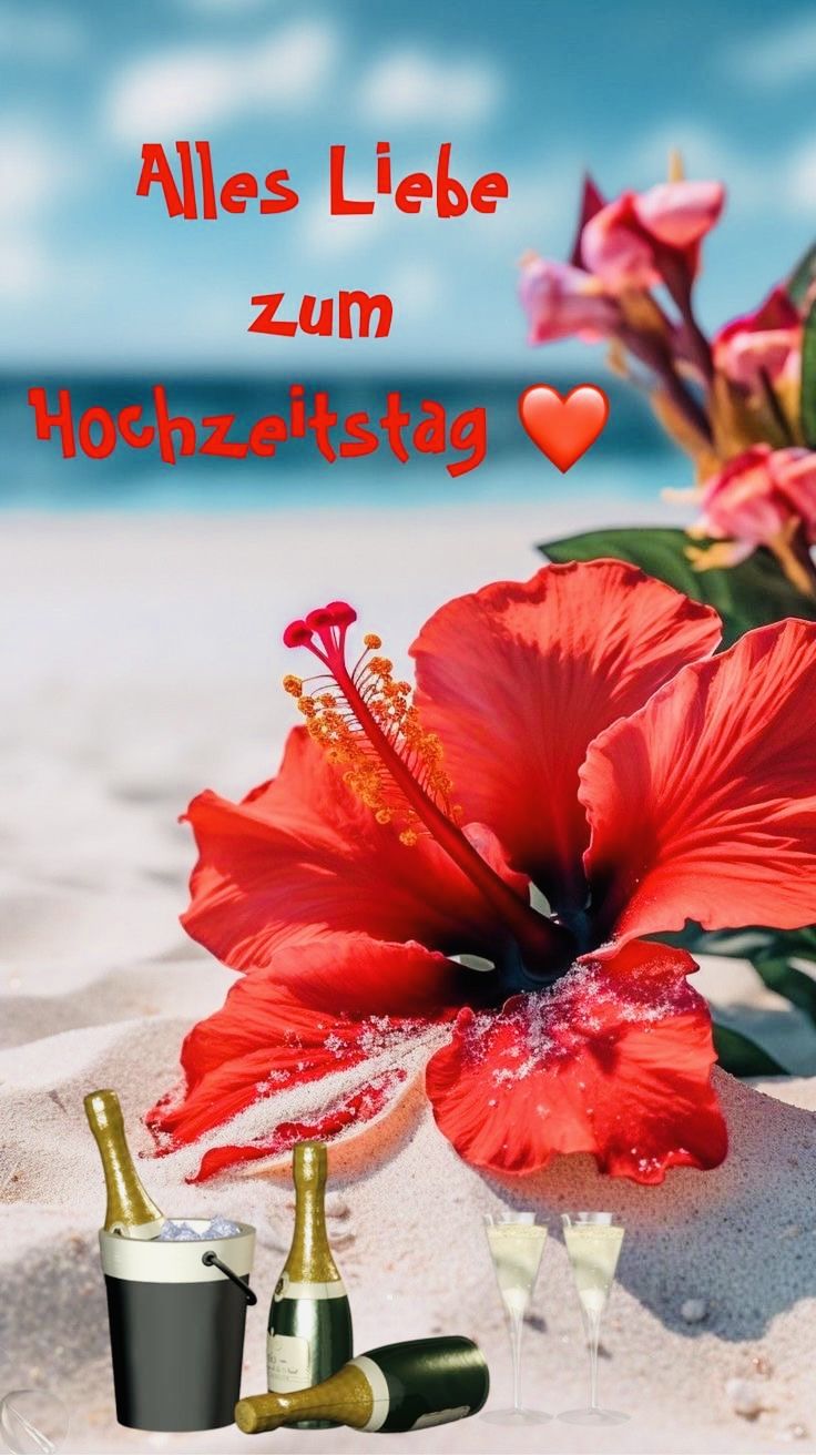 Hochzeitstag Bilder 95