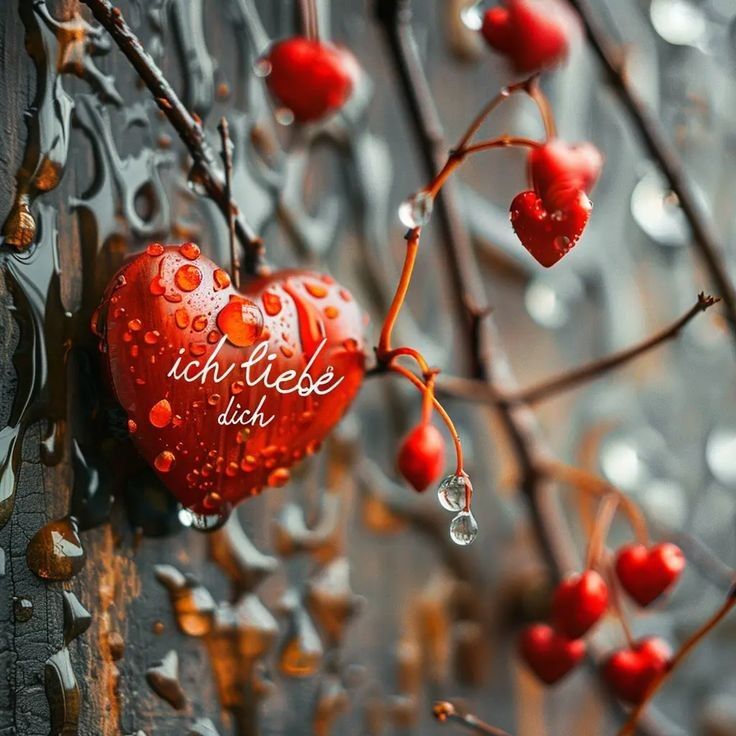 Ich Liebe Dich Bilder 30