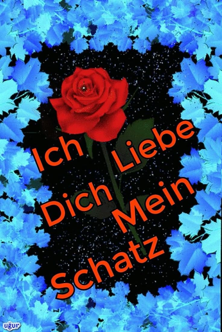 Ich Liebe Dich Bilder 41