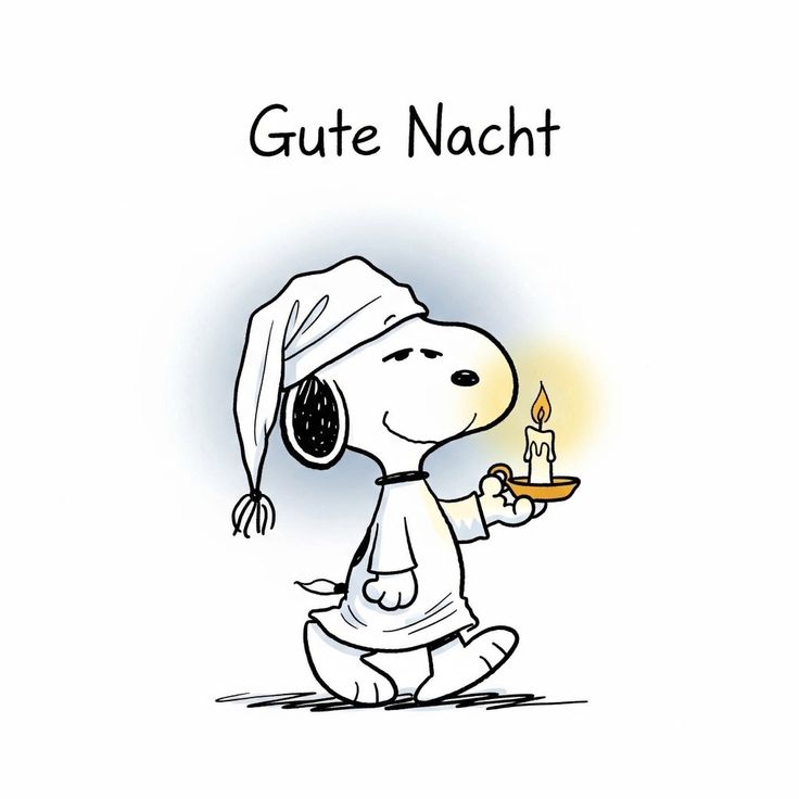Lustig Gute Nacht Bilder 112