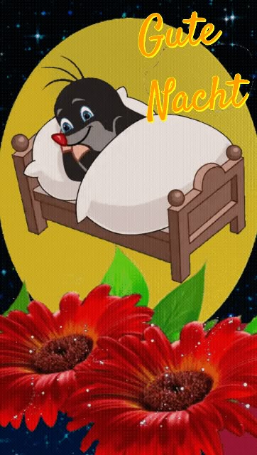 Lustig Gute Nacht Bilder 120