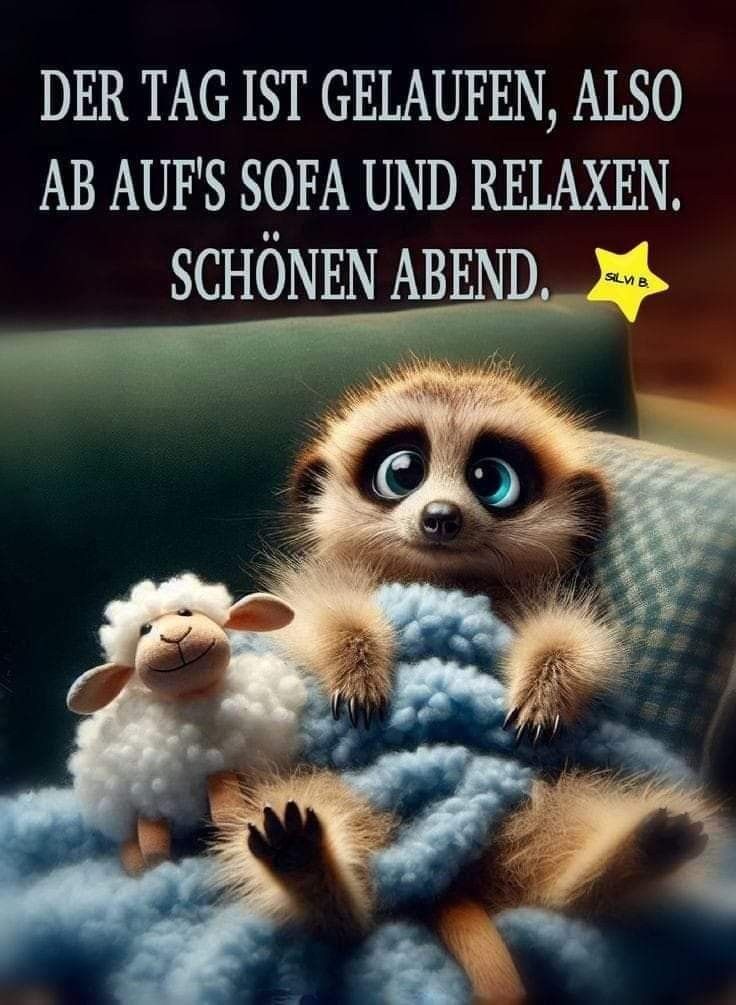 Lustig Gute Nacht Bilder 127