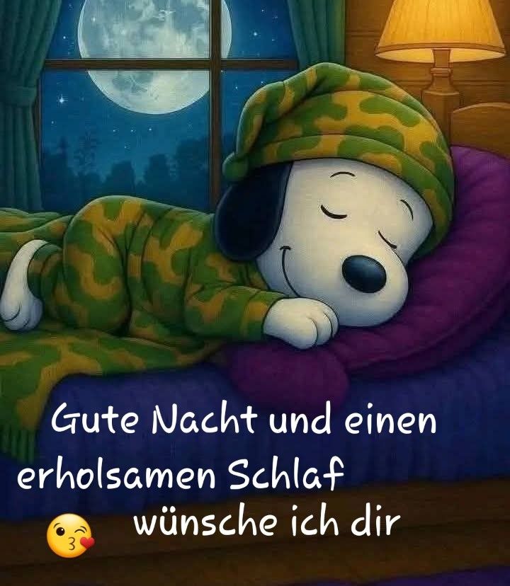 Lustig Gute Nacht Bilder 135
