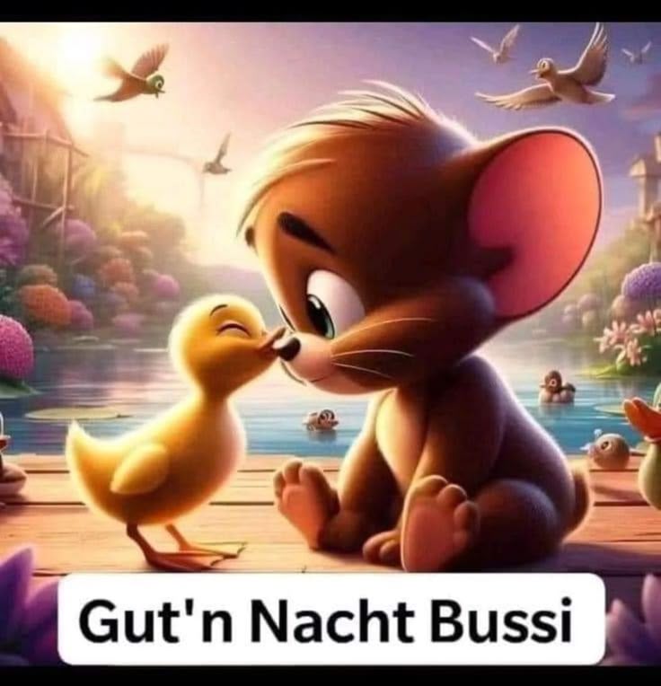 Lustig Gute Nacht Bilder 138