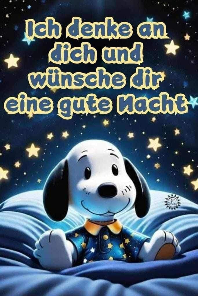 Lustig Gute Nacht Bilder 139