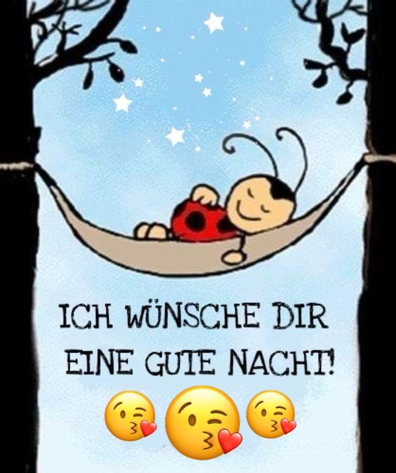 Lustig Gute Nacht Bilder 145