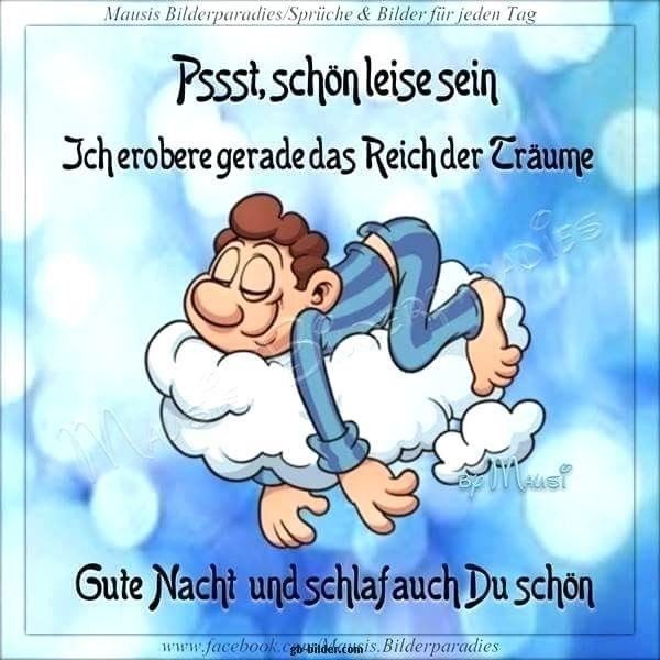 Lustig Gute Nacht Bilder 17